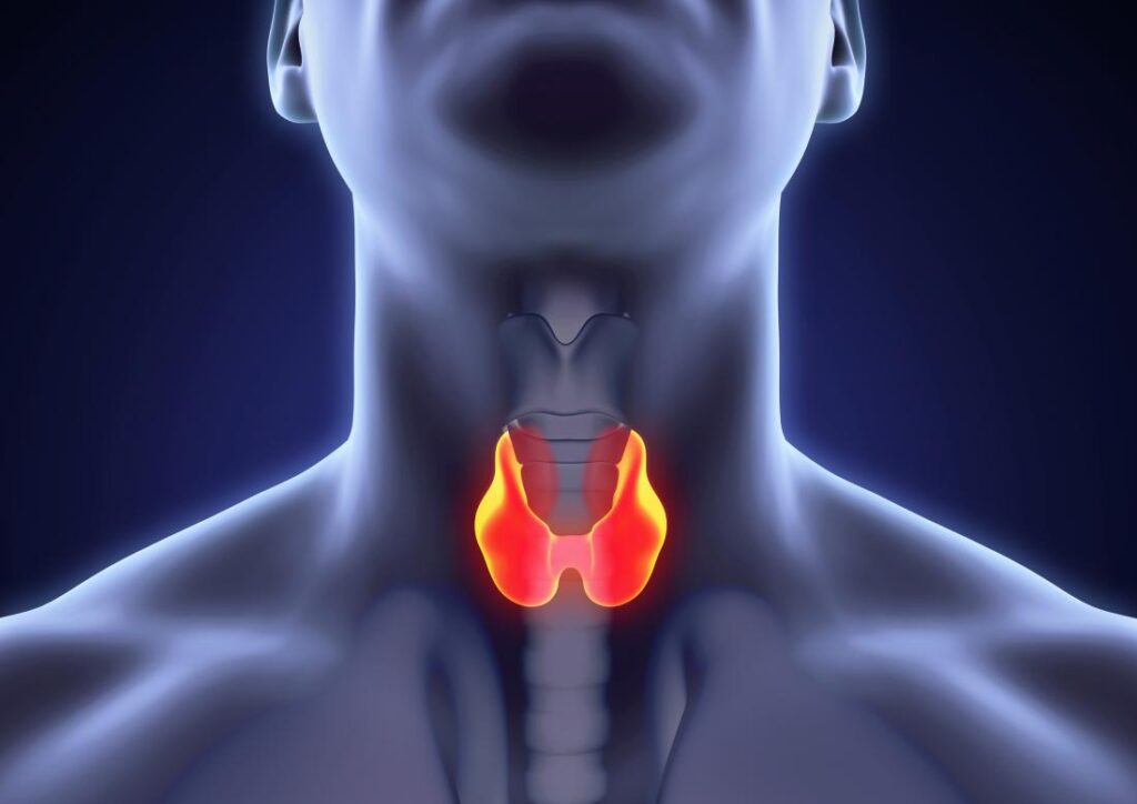 Thyroid Cancer